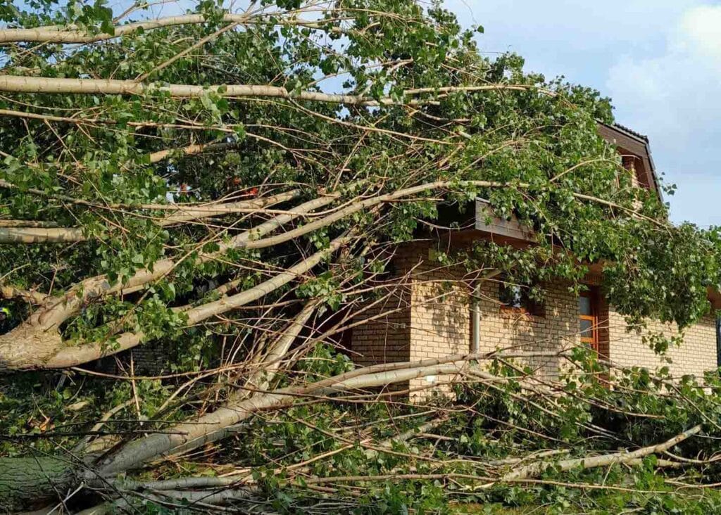 Hasiči museli odstraňovat popadané stromy po bouřce. Foto: HZS
