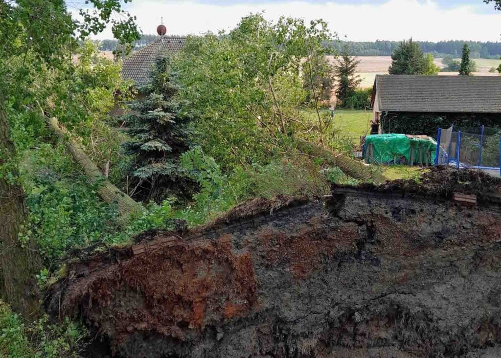Hasiči museli odstraňovat popadané stromy po bouřce. Foto: HZS