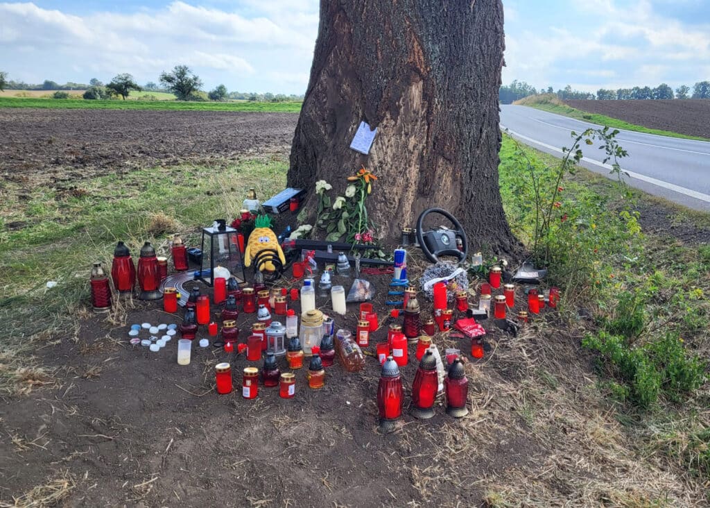 Pietní místo u tragické nehody poblíž obce Malobratřice. Foto: ČRzprávy.cz