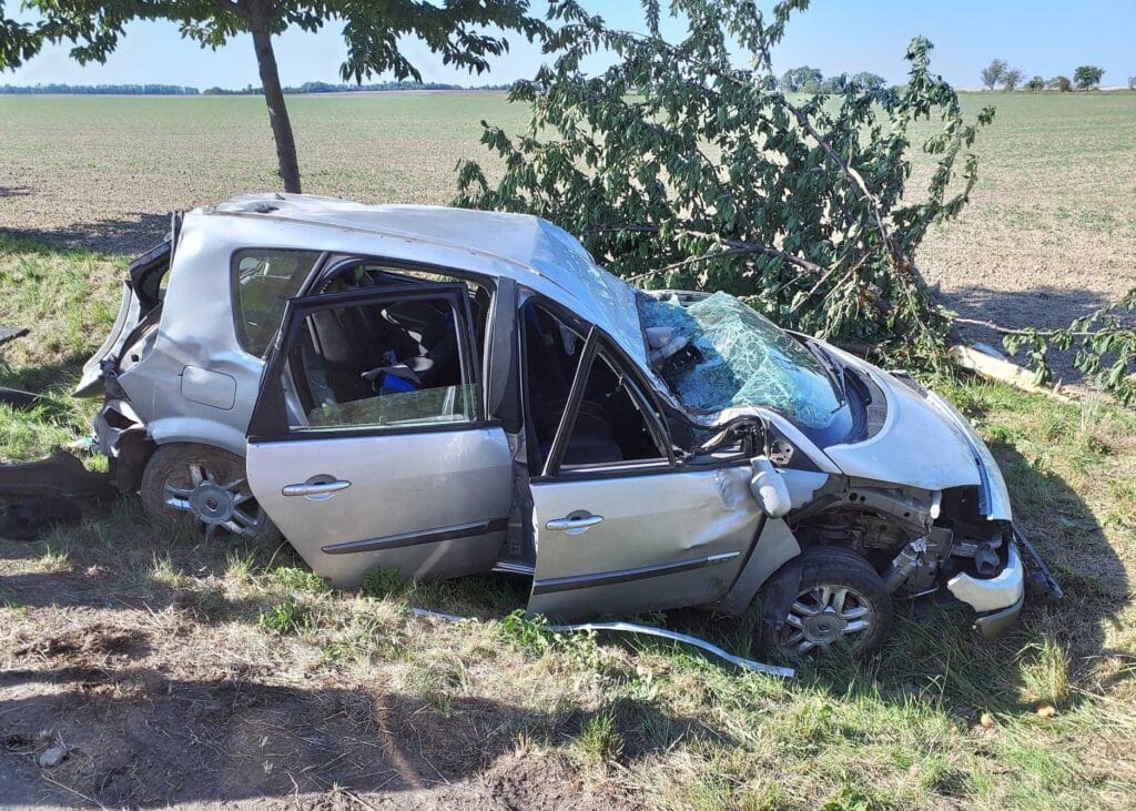 U obce Orel narazilo auto do stromu. Foto: HZS