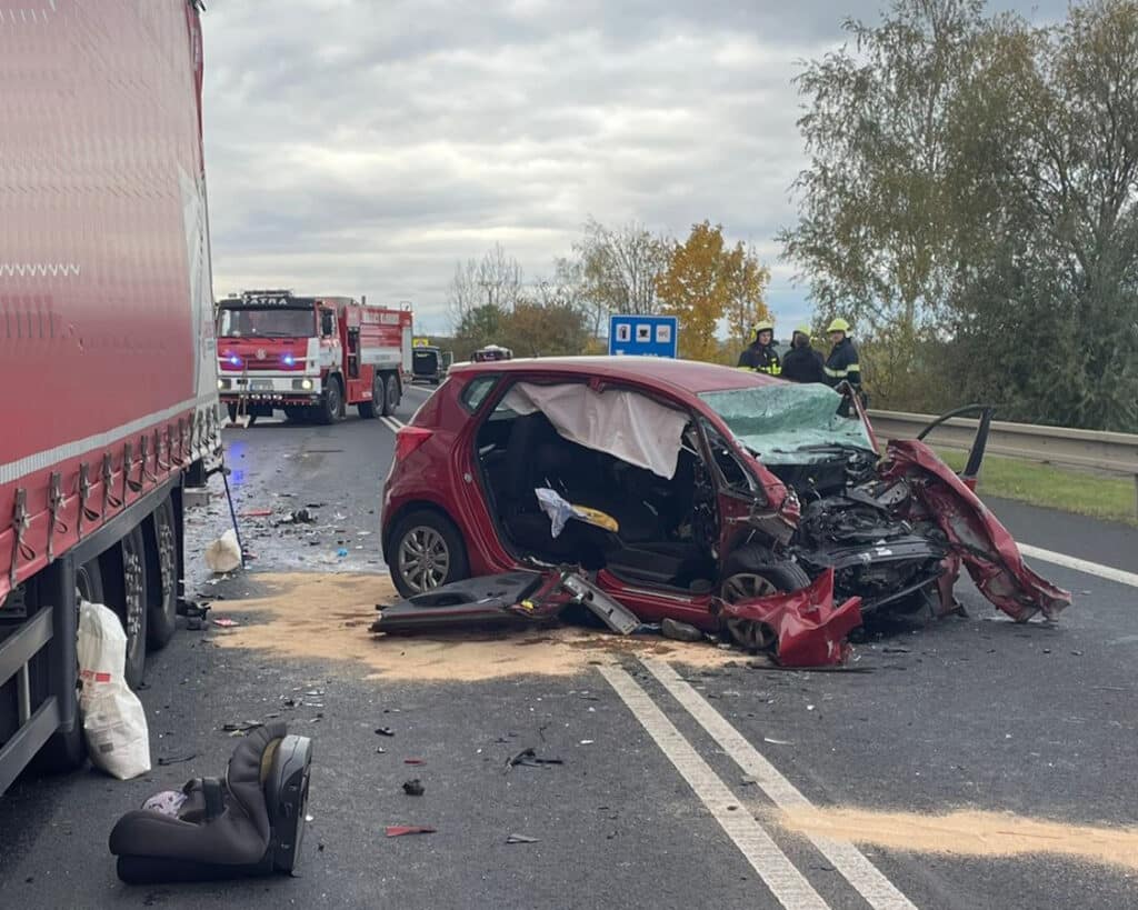 Tragická nehoda auta a kamionu u Třebíze. Foto: HZS