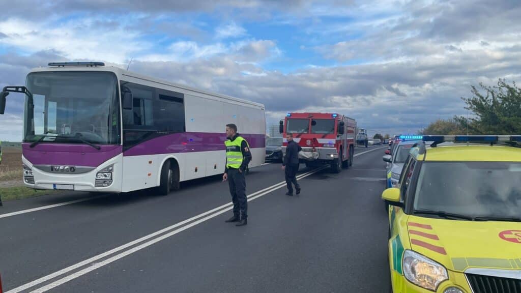 Tragická nehoda auta a kamionu u Třebíze. Foto: HZS