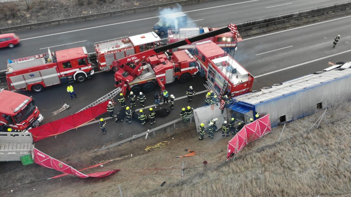 Hasiči vyprošťují krávy z havarovaného kamionu na D8. Foto: HZS