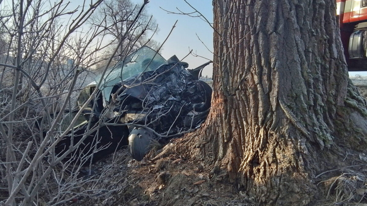 Tragická nehoda u Topolan. Auto narazilo do stromu, řidič zemřel. Foto: HZS
