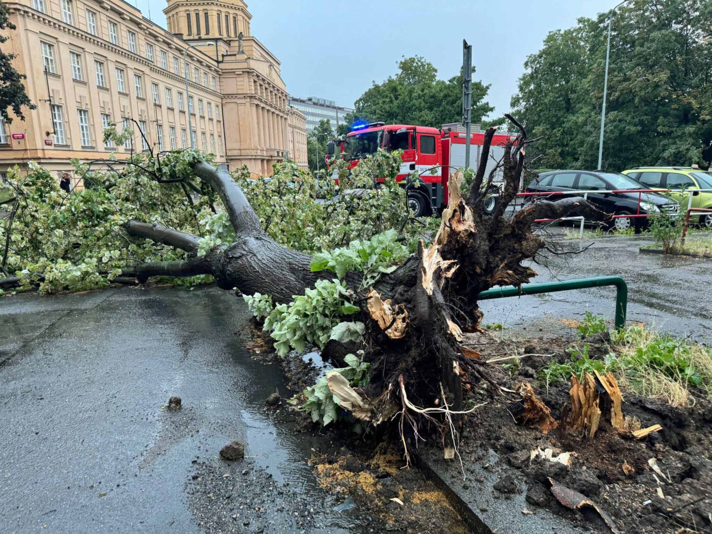 Vyvrácené stromy po bouřce v Praze. Foto: HZS