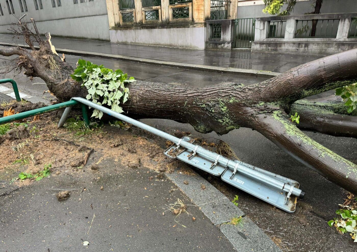 Vyvrácené stromy po bouřce v Praze. Foto: HZS