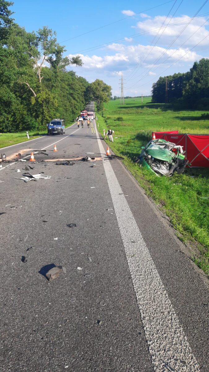 Tragická nehoda auta a kamionu u Malovic. Foto: PČR