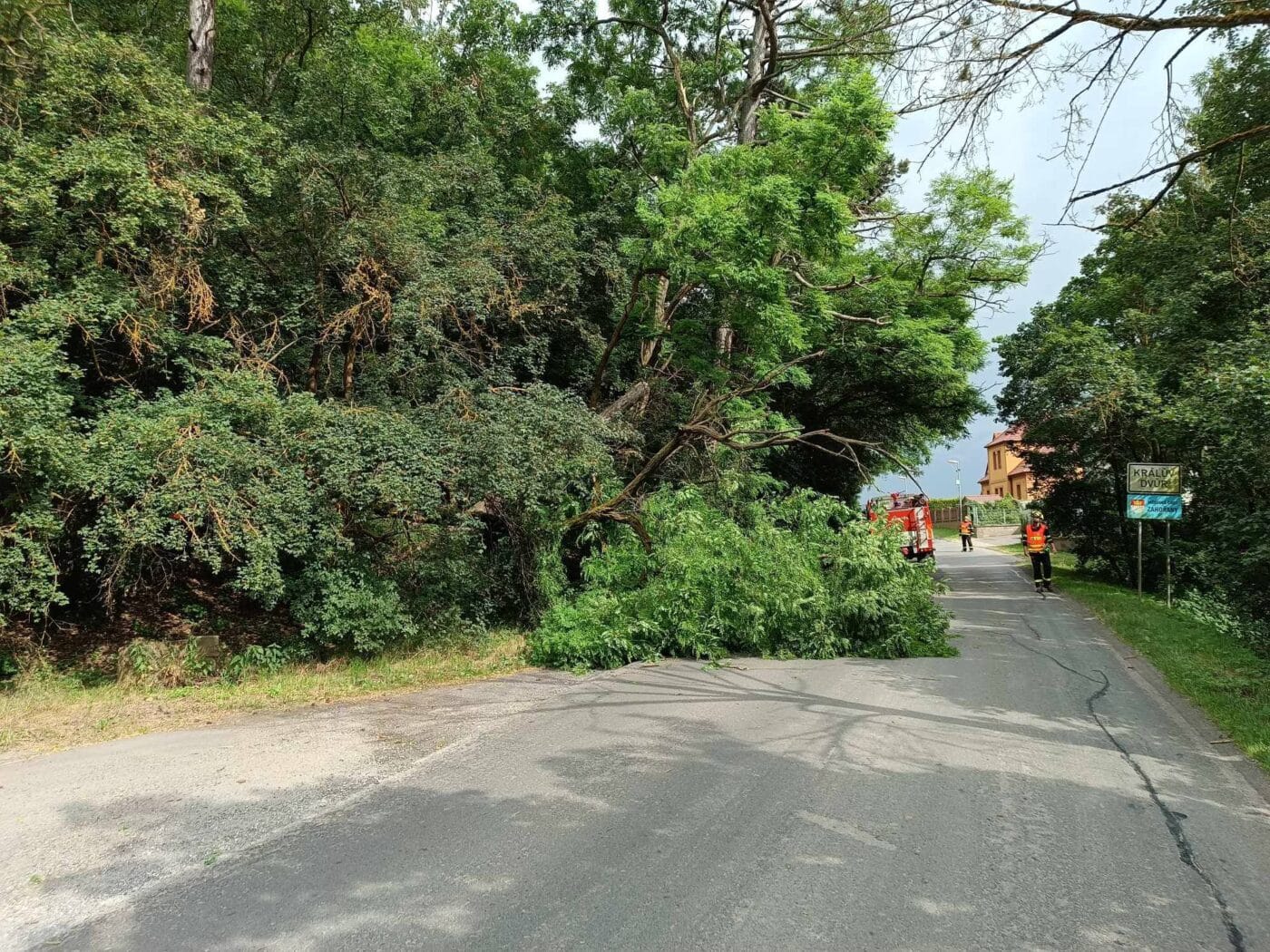 Pád stromu u Zahoran u Dvora Králové. Foto: Hasiči Hudlice