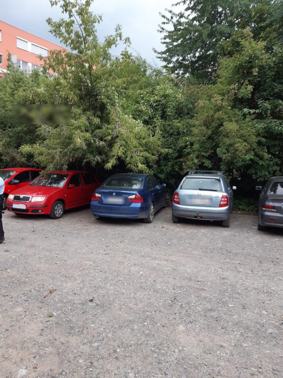 V Praze spadl strom na zaparkovaná auta. Foto: HZS 