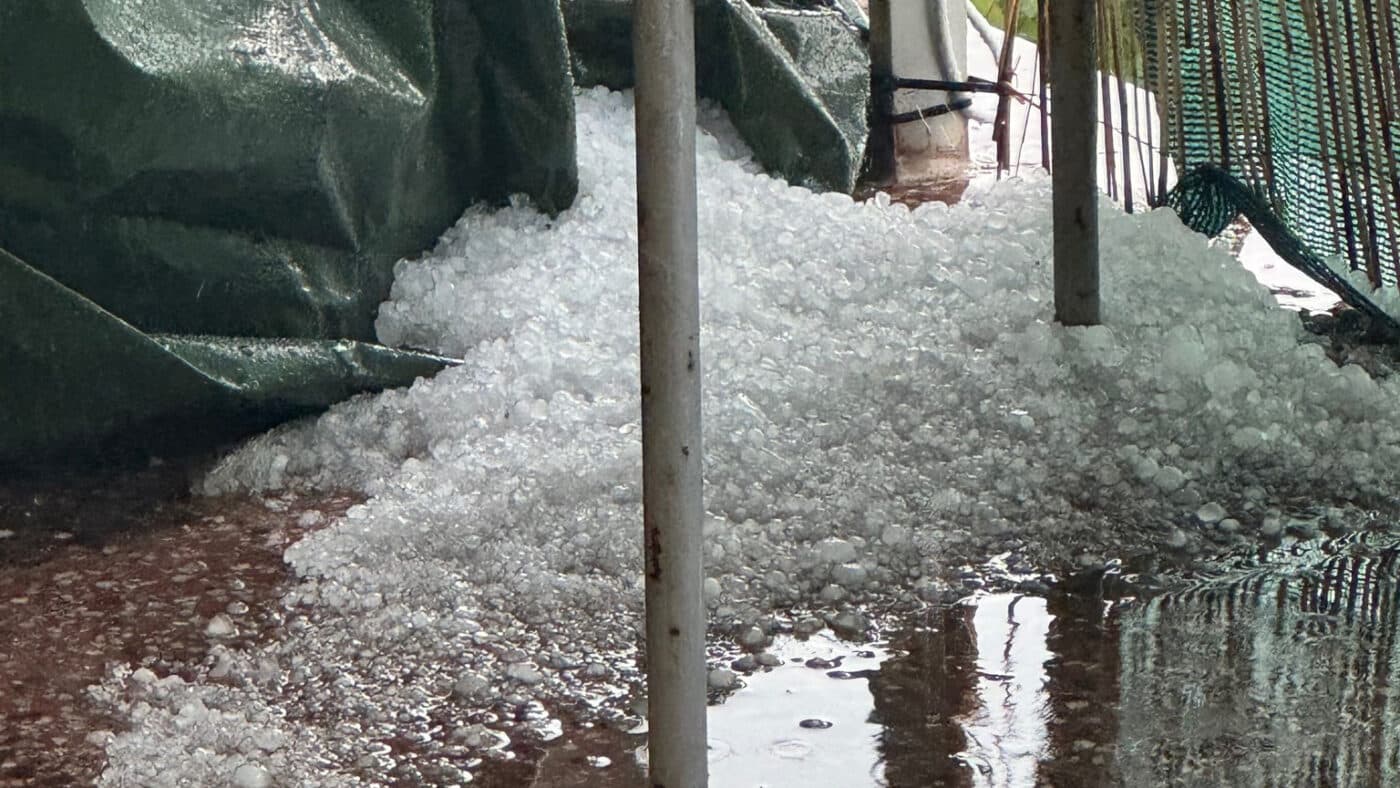 Hromada krup po bouřce na Praze-východ. Foto: Jan Palacký