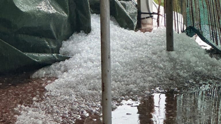 Hromada krup po bouřce na Praze-východ. Foto: Jan Palacký