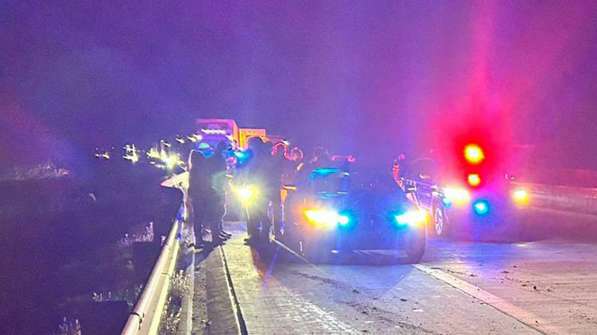 Nehoda na dálnici D5. Foto: PČR