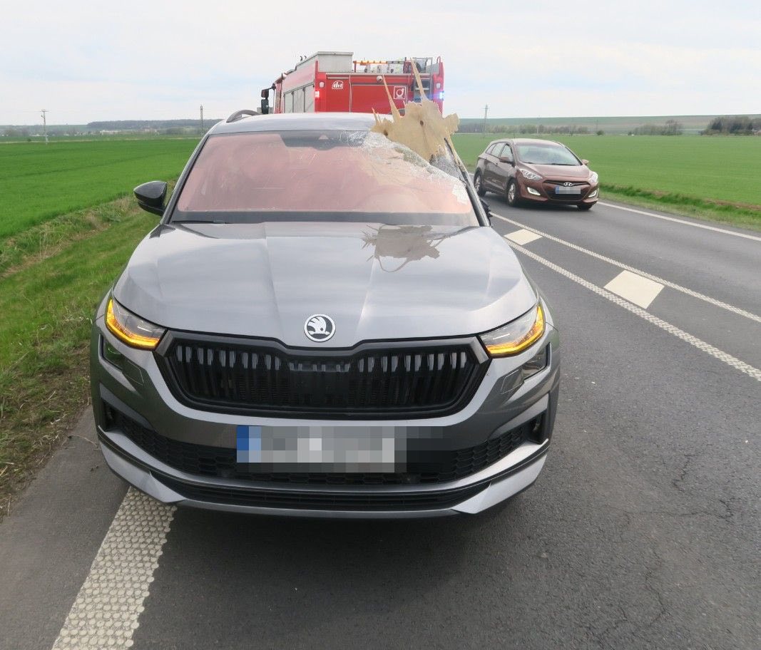 Kus dřeva se zabodl do čelního skla Kodiaqu. Foto: PČR