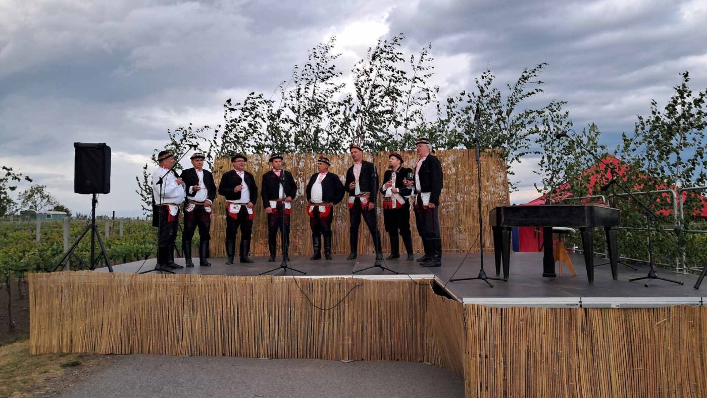 František (zcela vpravo) si naposledy zazpíval s kamarády ze sboru, pak přišla tragická nehoda. Foto: obec Ratíškovice