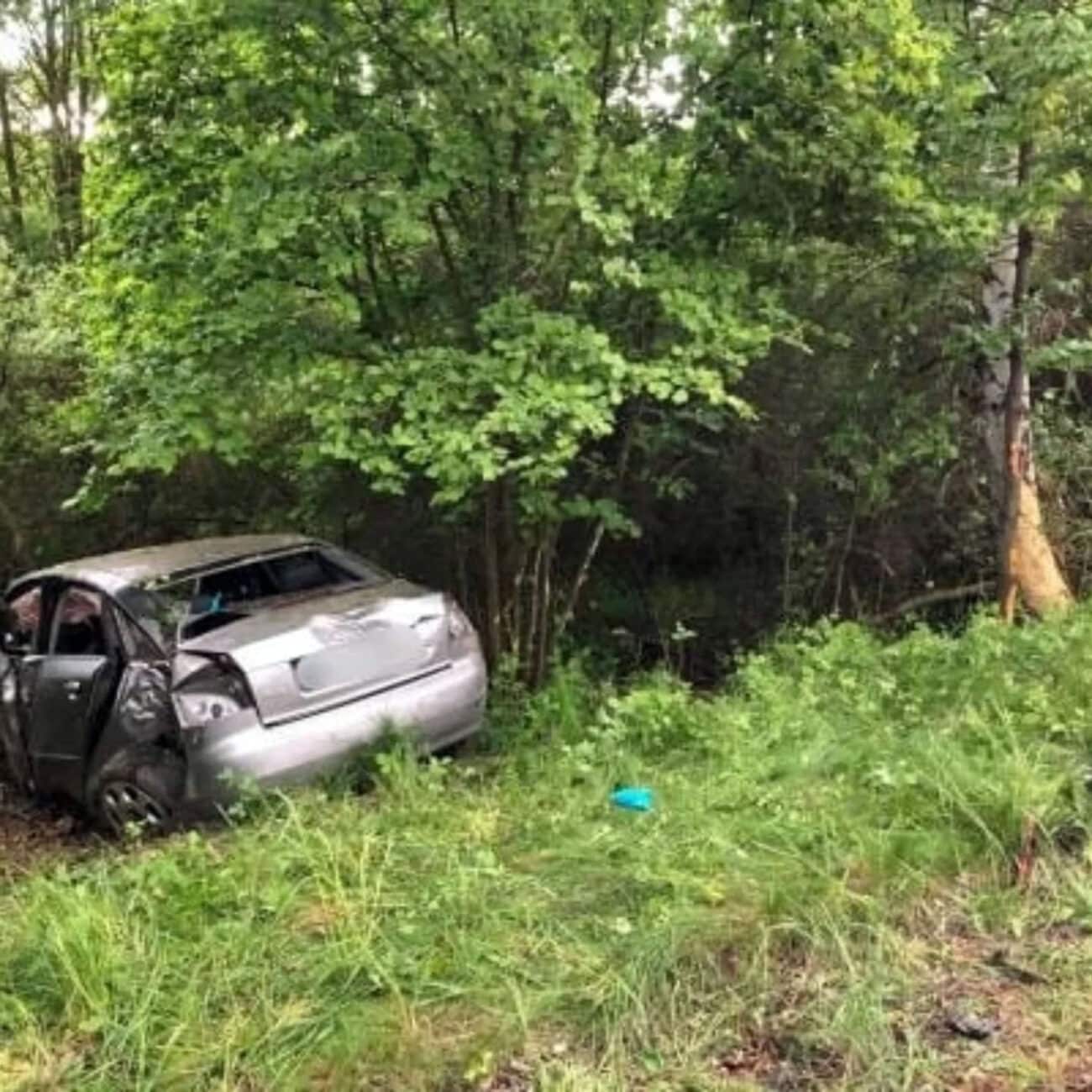 Zdemolované auto se zabořilo do křoví vedle silnice. Foto: HZS