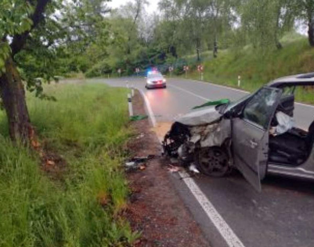 V Litomyšli narazil řidič Škodovky do stromu. Foto: HZS