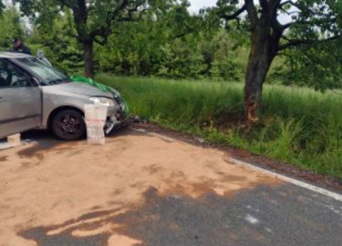 V Litomyšli narazil řidič Škodovky do stromu. Foto: HZS