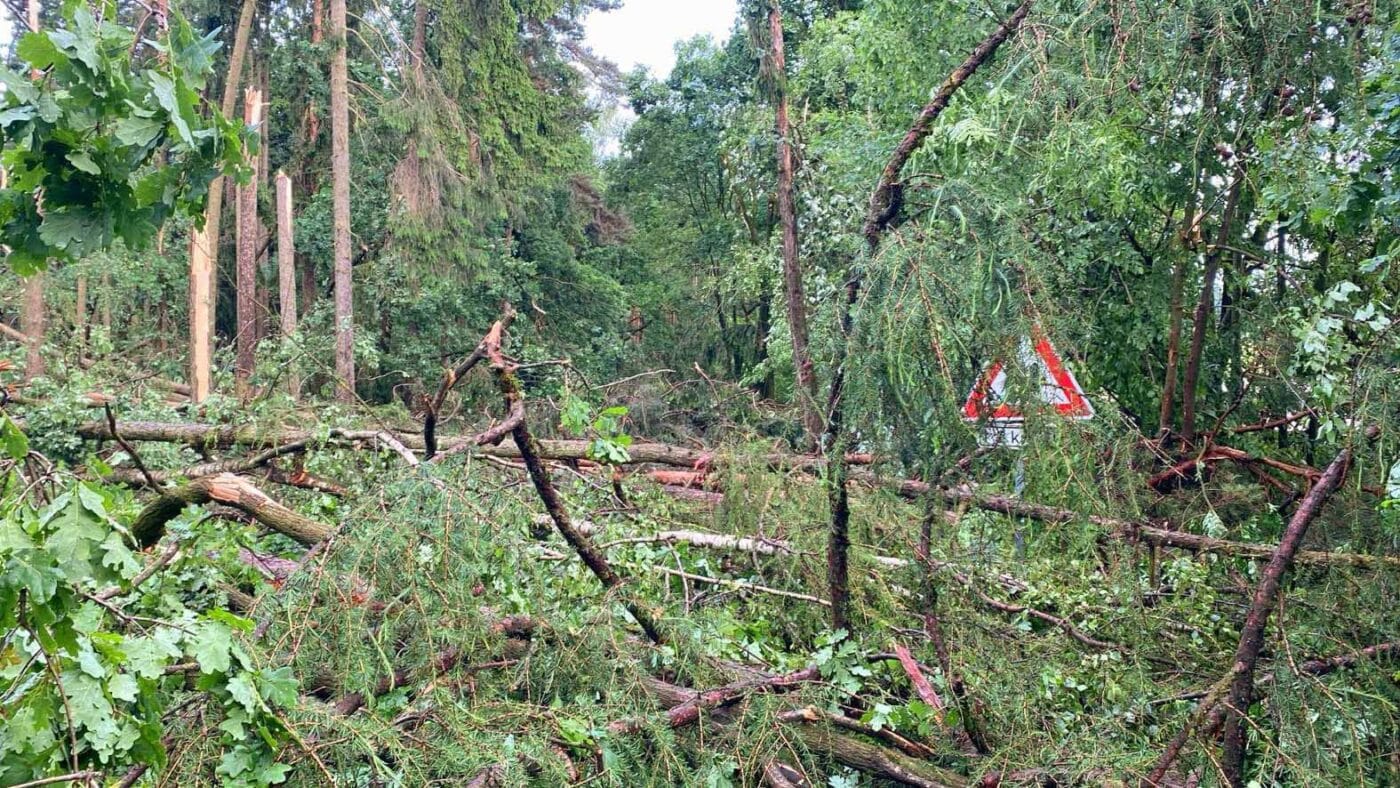 Že u Hořetic je silnice připomíná jen pod stromy vykukující dopravní značka. Foto: KSÚS