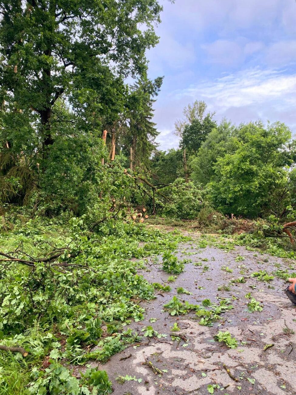 Stromy zasypaly silnici na Sedlčansku. Foto: KSÚS