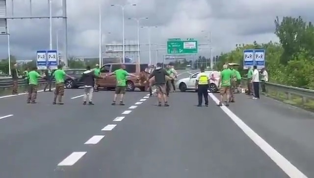 VIDEO: Koně na Jižní spojce se podařilo odchytit.