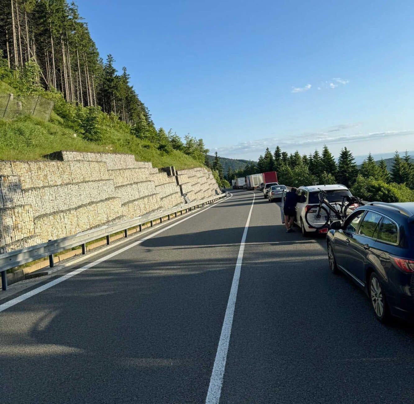 Před nehodou se vytvořila dlouhá kolona. Foto: Josef Leskovjan