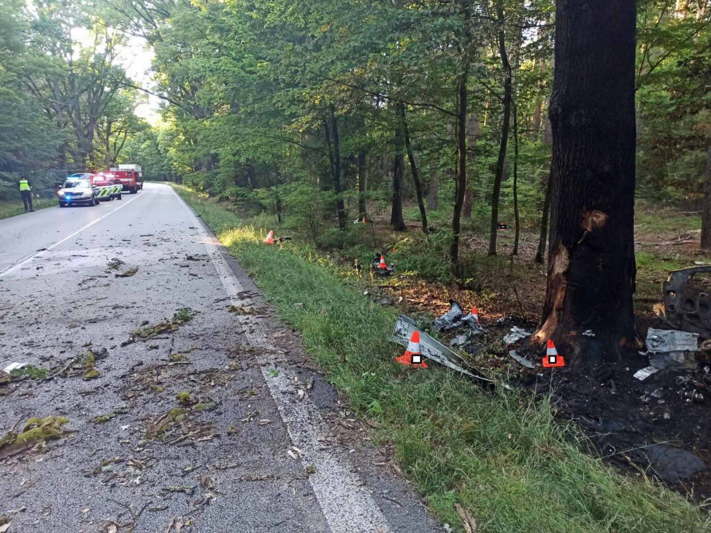 Tragická nehoda u Třeboně. Foto: PČR