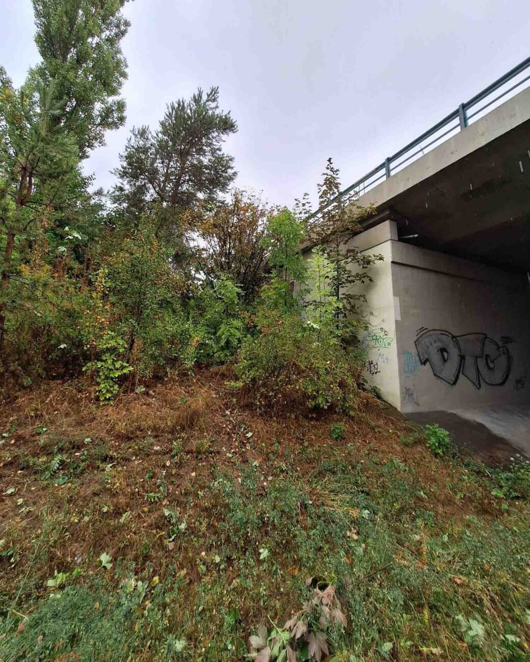 Auto vyletělo z dálnice D7 na silnici pod ní. Foto: HZS