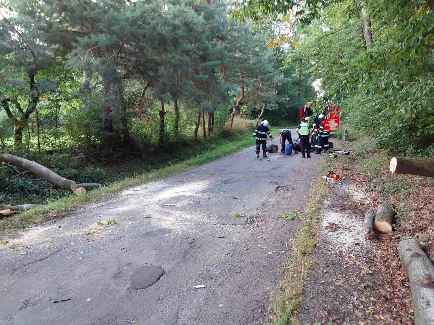 Nehoda motocyklu v Bezděkově. Foto: HZS