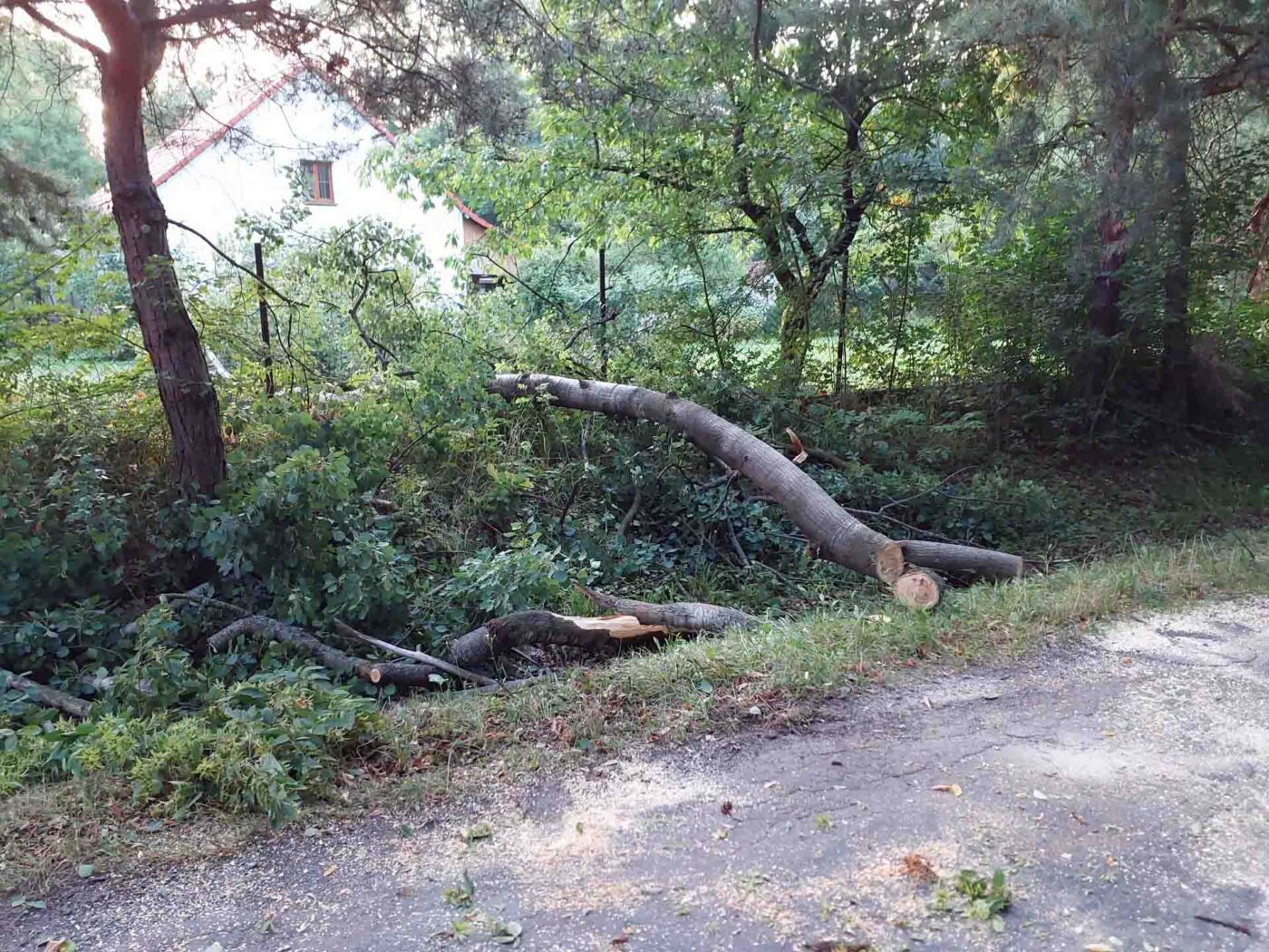 Nehoda motocyklu v Bezděkově. Foto: HZS