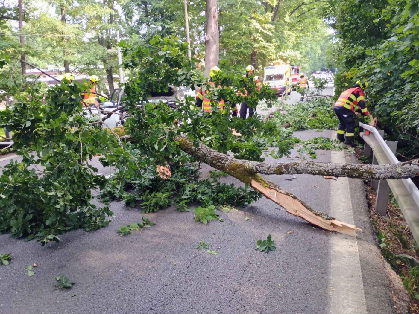 Na auto se zřítil strom. Foto: HZS