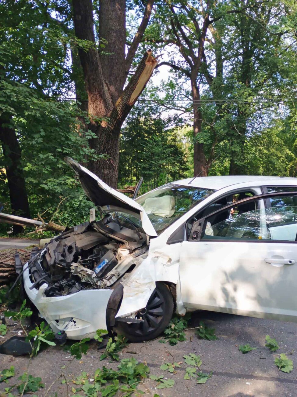 Na auto se zřítil strom. Foto: HZS