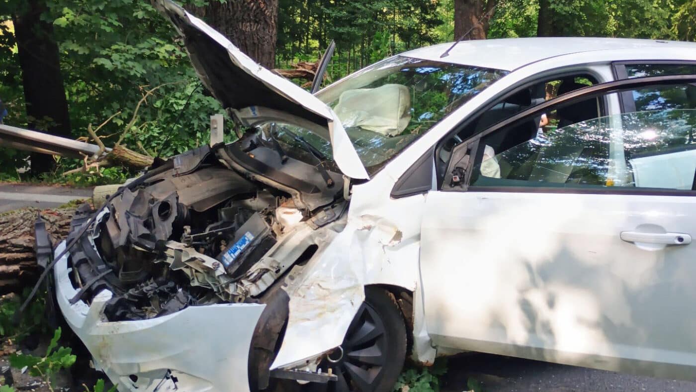 Na auto se zřítil strom. Foto: HZS