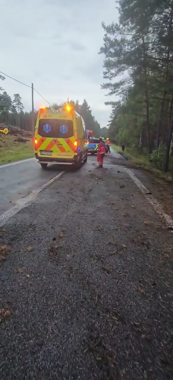 VIDEO: Nehoda nedaleko Ralska. Video: HZS