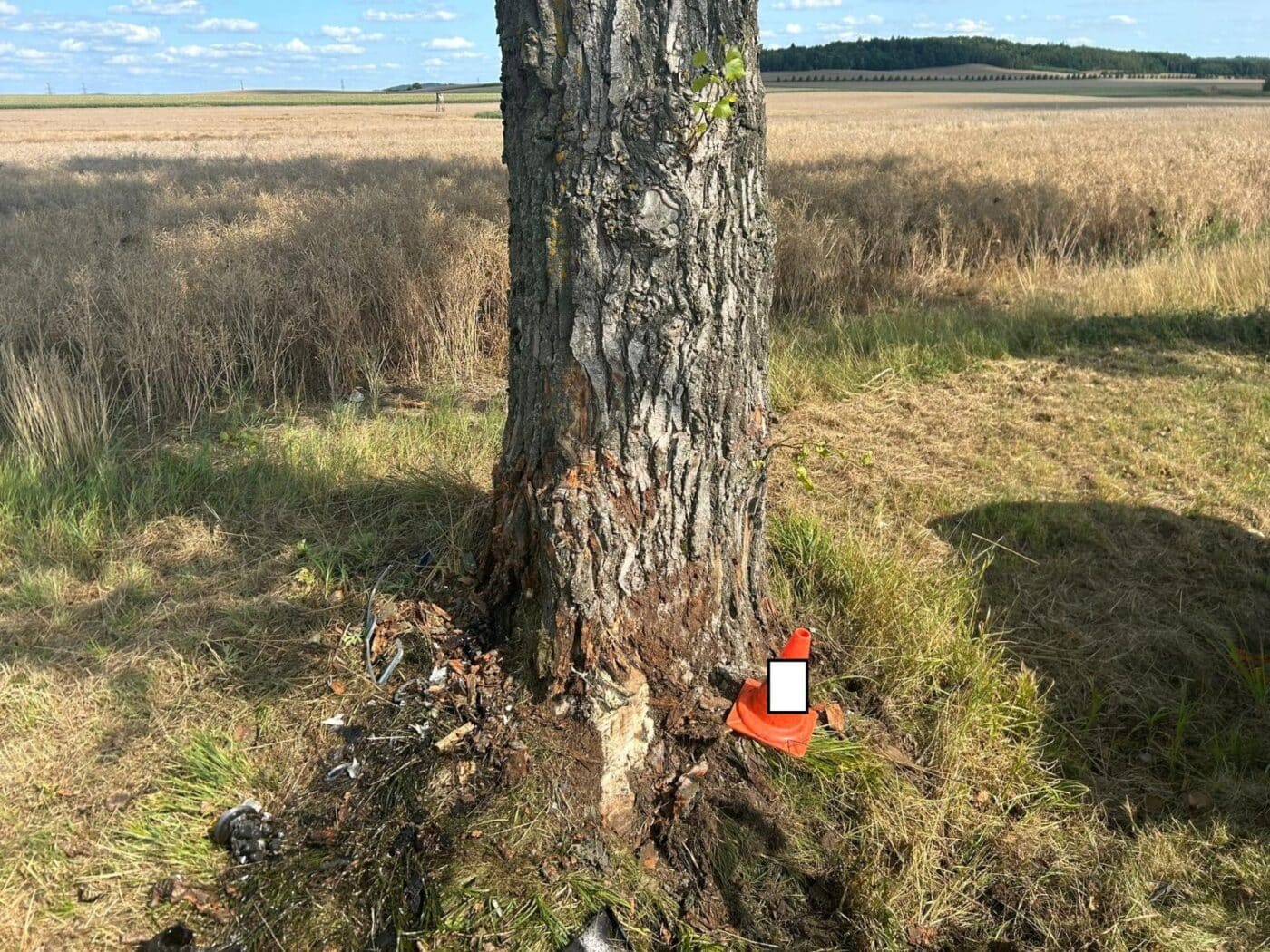 Tragická nehoda u Mirovic na Písecku. Foto: PČR