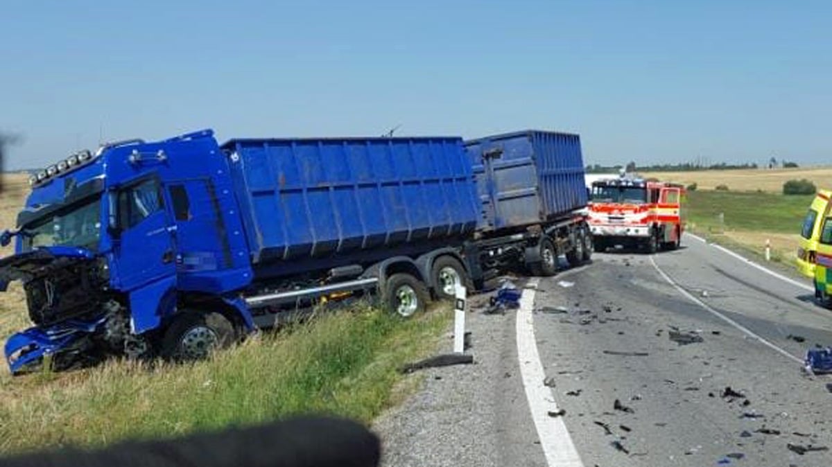 Tragická nehoda u Svojkovic. Foto: PČR