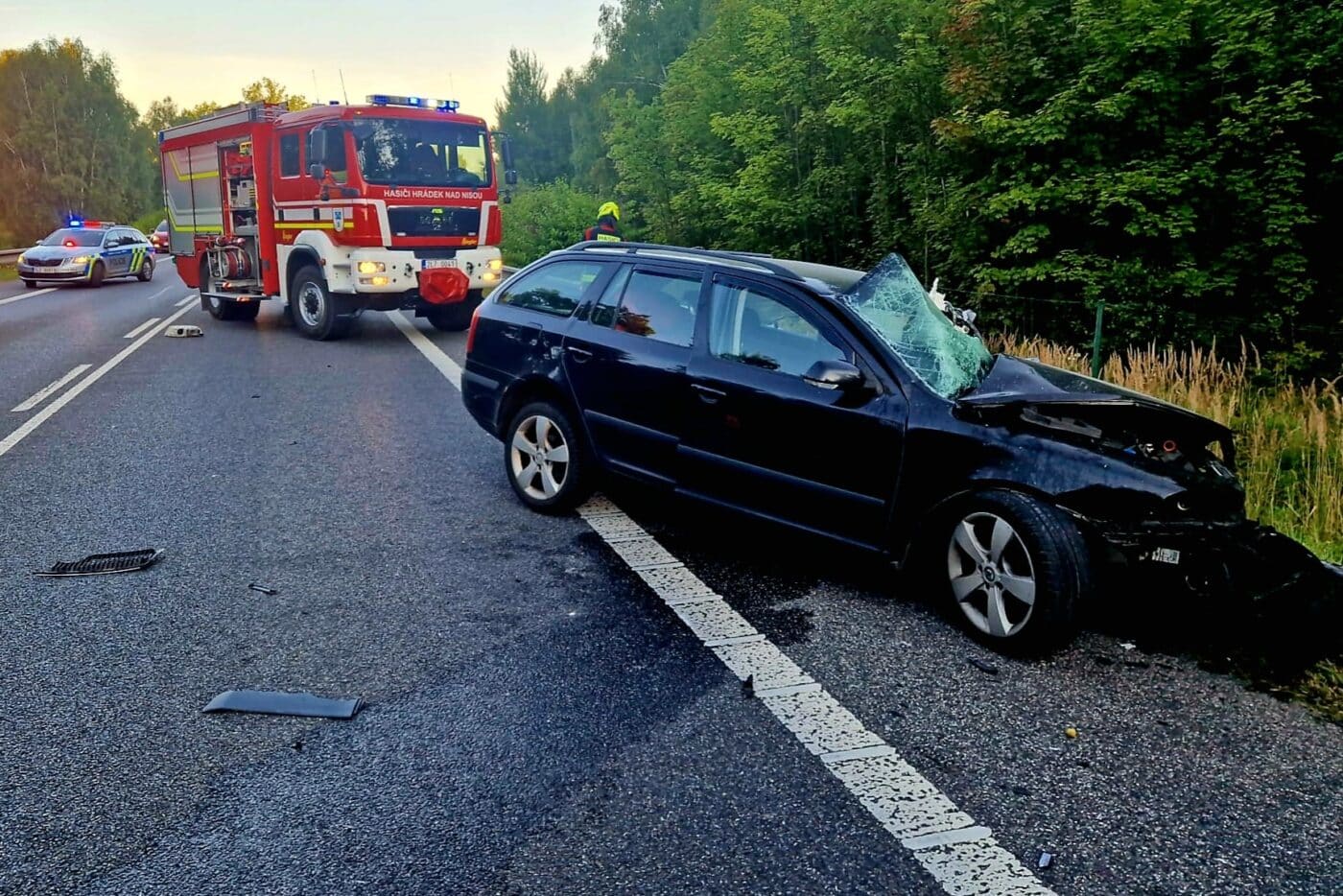 Tragická nehoda u Václavic. Foto: HZS