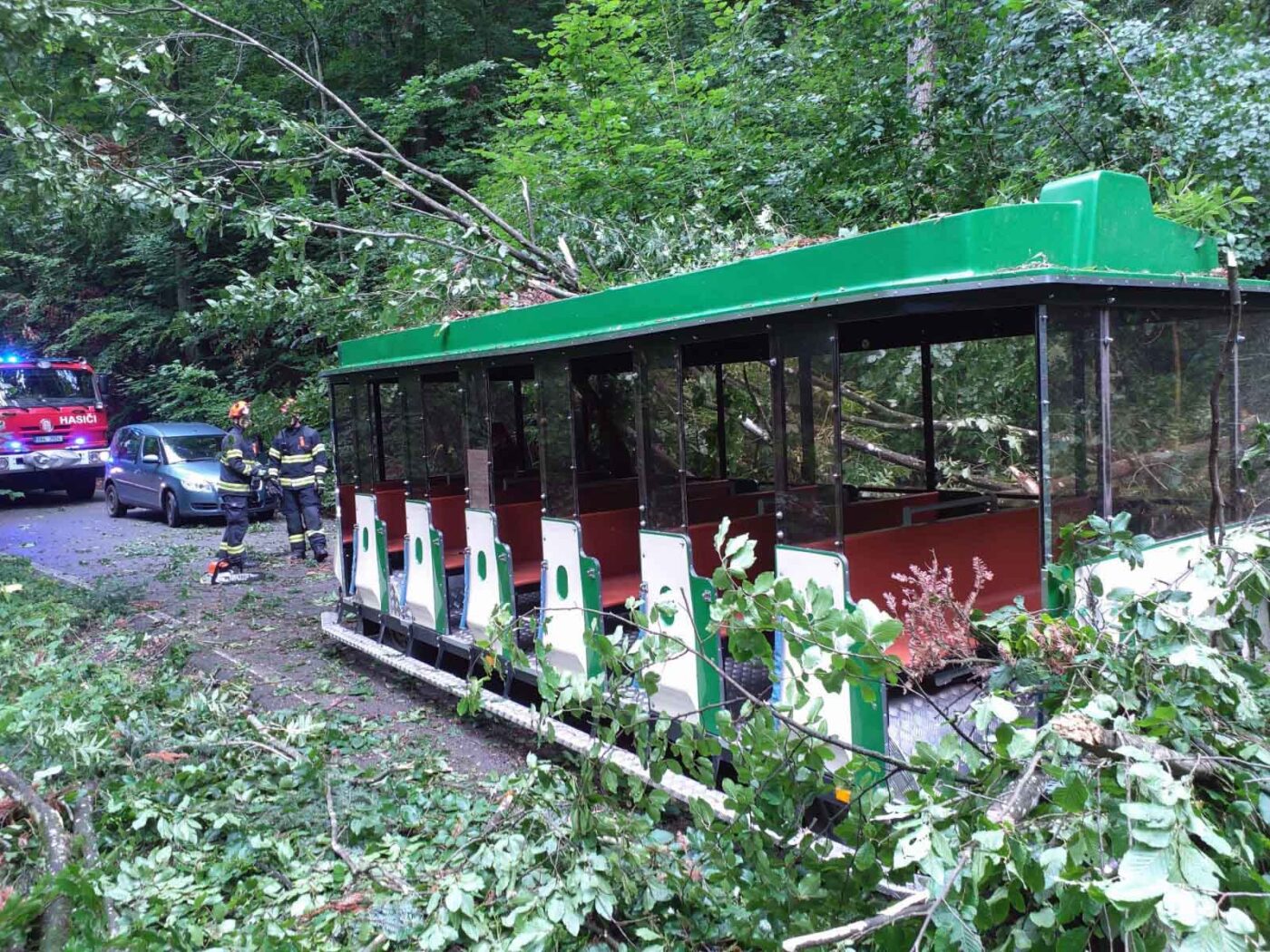 Na vyhlídkový vláček v Moravském krasu spadly větve stromu. Foto: HZS
