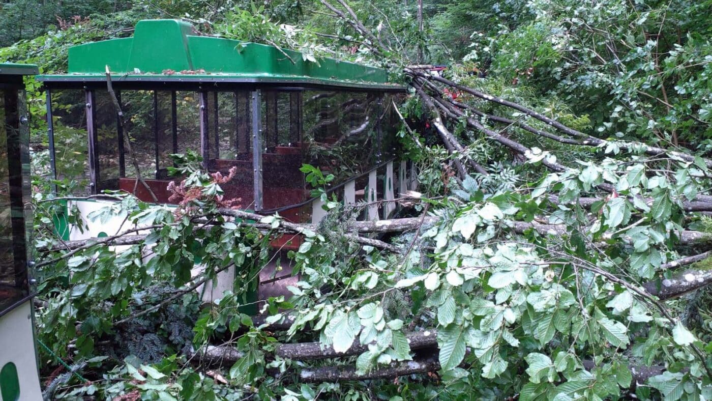 Na vyhlídkový vláček v Moravském krasu spadly větve stromu. Foto: HZS