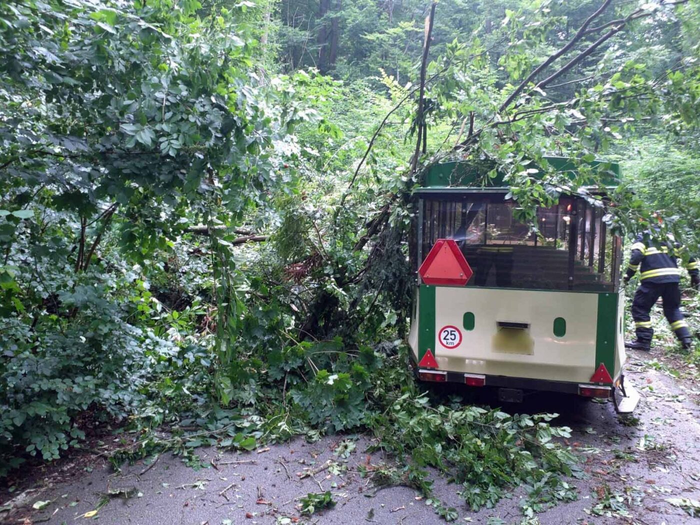 Na vyhlídkový vláček v Moravském krasu spadly větve stromu. Foto: HZS