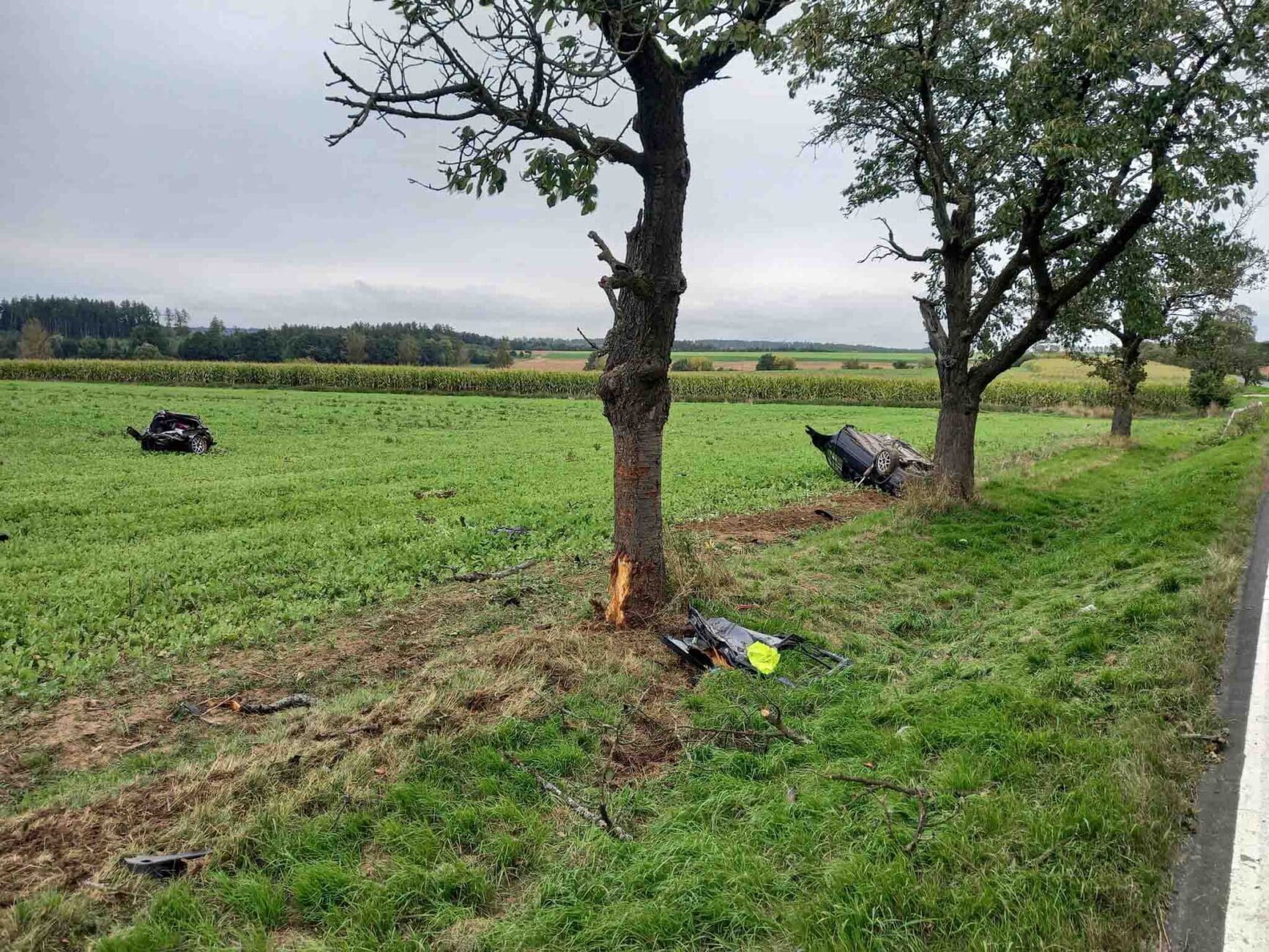 Řidič u Sebuče rozpáral auto o strom. Foto: HZS