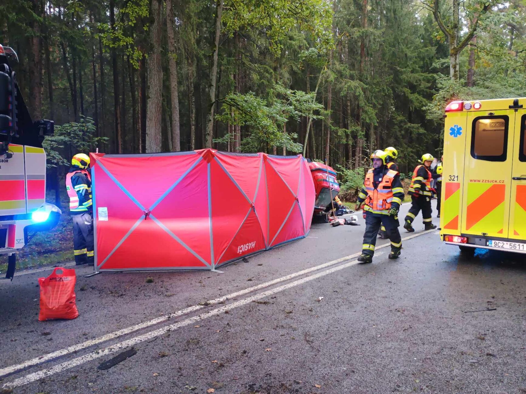Tragická nehoda u Třeboně. Foto: HZS