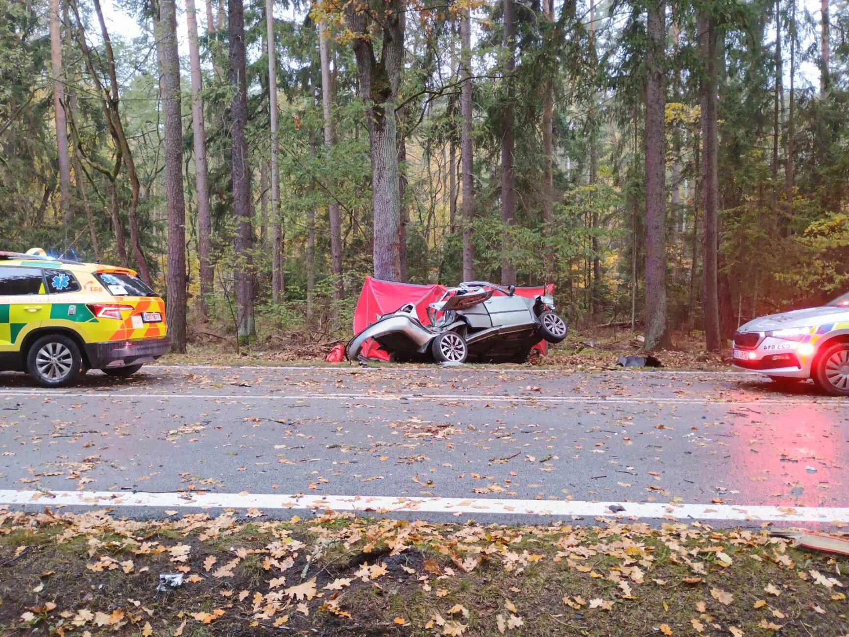 Tragická nehoda u Majdaleny. Foto: HZS