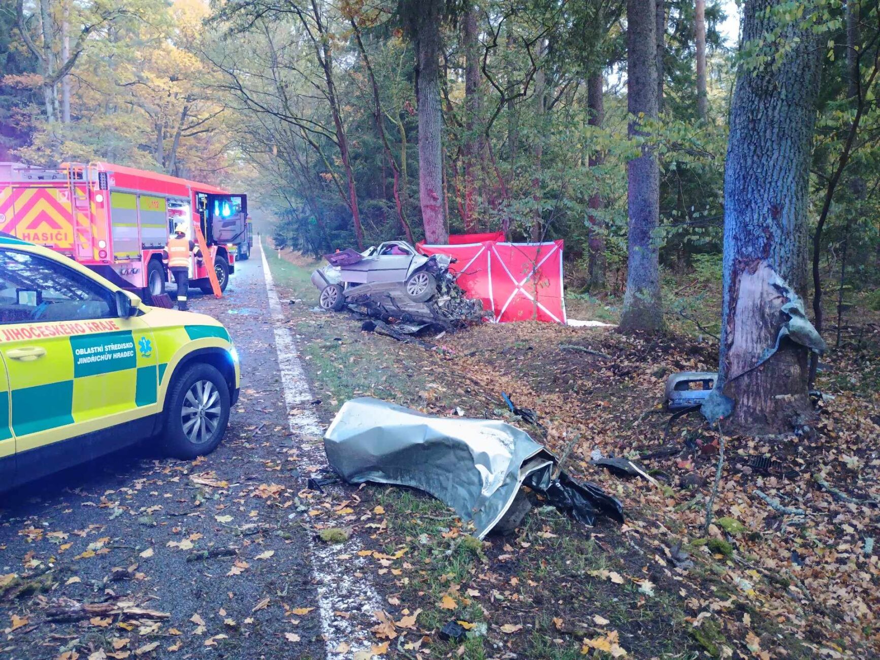 Tragická nehoda u Majdaleny. Foto: HZS