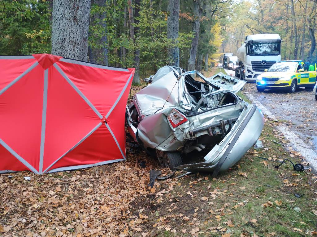 Tragická nehoda u Majdaleny. Foto: HZS