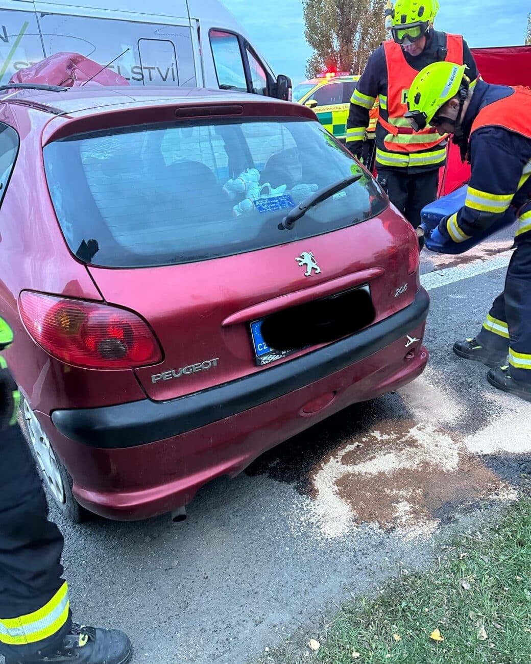 Vážná nehoda u Seče. Foto: HZS