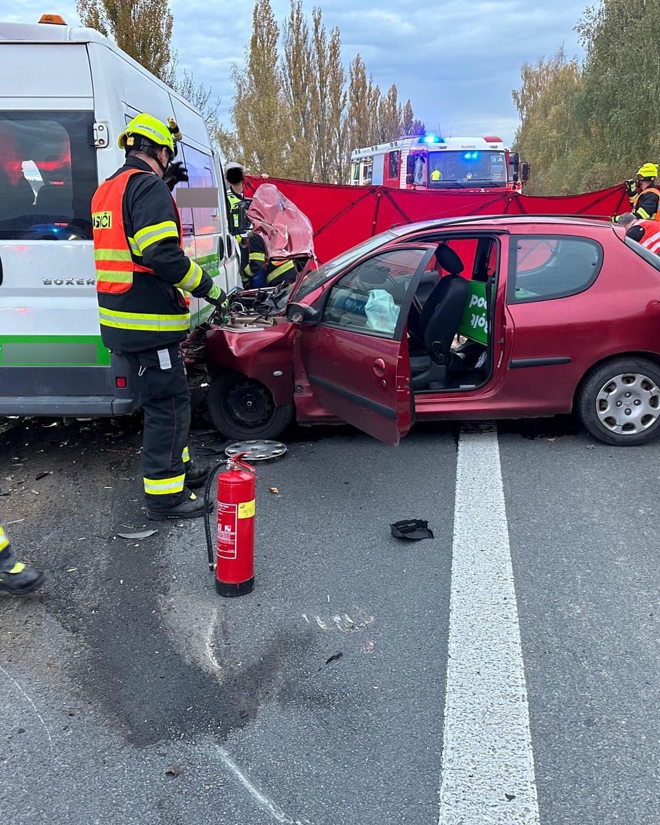 Vážná nehoda u Seče. Foto: HZS