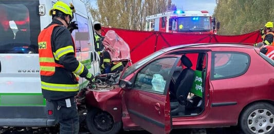 Vážná nehoda u Seče. Foto: HZS