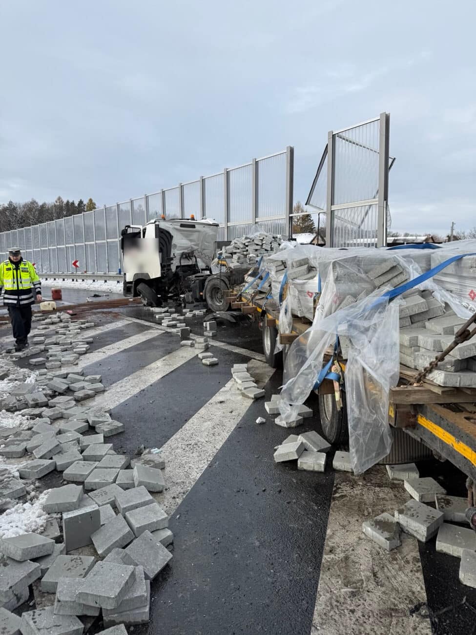 Nehoda kamionu na D48. Foto: PČR