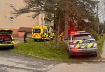 Nehoda v Čeladné. Foto: ZZS